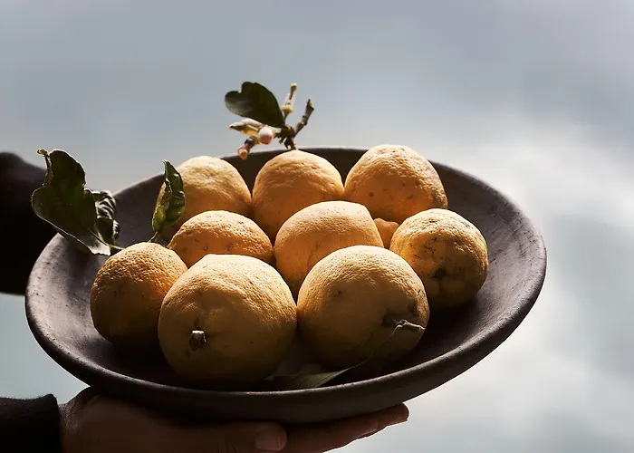 Amyth Of Mykonos Agios Stefanos (adults Only) 5* Agios Stefanos (Mykonos)