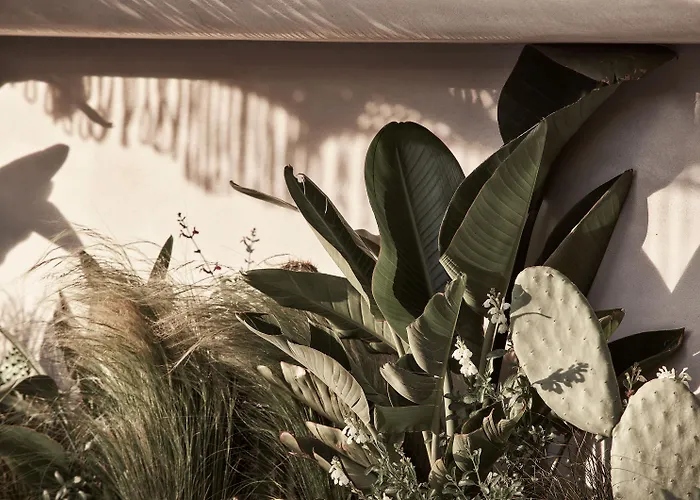 Hotel Amyth Of Mykonos Agios Stefanos (adults Only) 5*