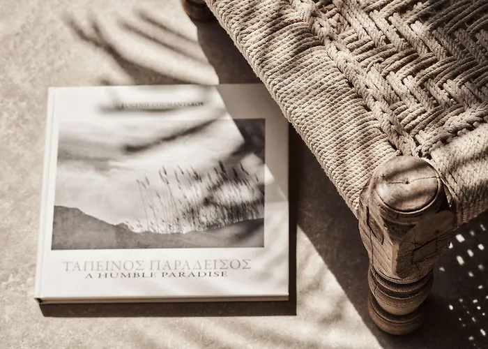 Amyth Of Mykonos Agios Stefanos (adults Only) Hotel