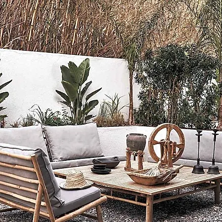 Hotel Amyth Of Mykonos Agios Stefanos (adults Only)